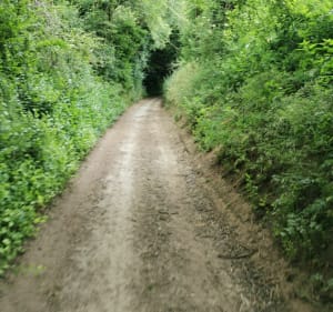 Balade dans la campagne Audomaroise par Ecques - Saint-Augustin - 4
