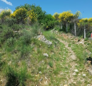 Chemin de l'Echaudun aux alentour de Rochemaure - Rochemaure - 4