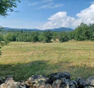 Boucle autour du village de Quintenas par Le Vignet et Petit Chizaret - Quintenas - 5