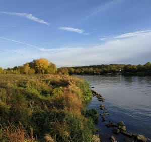 Au bord de la Seine et des étangs à Carrières sous Poissy à VTT - Carrières-sous-Poissy - 4