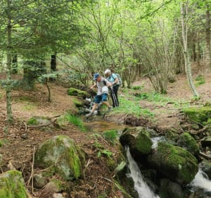 La randonnée aux mille ruisseaux - Saint-Régis-du-Coin - 5