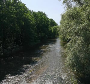 Mountainbikeroute rond de Meurthe en de vijvers van Lunévillois - Lunéville - 5