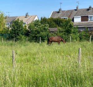 Groene corridor in Cambrai - Cambrai - 3