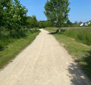 Groene corridor in Cambrai - Cambrai - 4