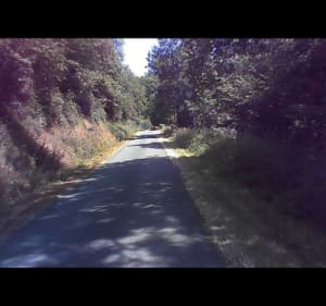 Balade au Nord de Montsûrs - Montsûrs - 4