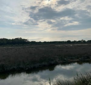 Jolie balade à VTC aux alentours de Port Camargue - Le Grau-du-Roi - 5
