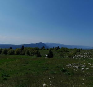 Mont d' Or et bornes frontières - Longevilles-Mont-d'Or - 5