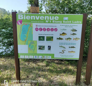 Les étangs de Conty - Conty - 3