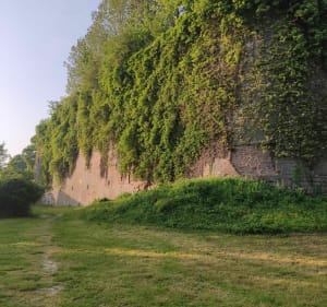 Entre Doullens et Gézaincourt - Doullens - 5