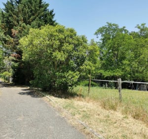 Entre Ramonville et Pouvourville - Ramonville-Saint-Agne - 3