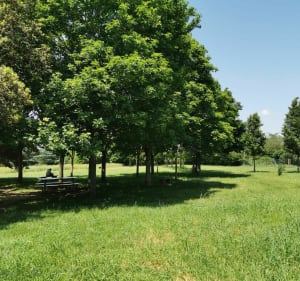Entre Ramonville et Pouvourville - Ramonville-Saint-Agne - 4