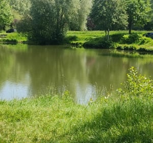 Plans d'eau autour de Béthune - Gonnehem - 5