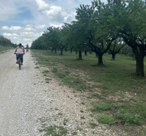 Petite balade dans les Alpilles proche d’Eygalieres - Saint-Rémy-de-Provence - 3