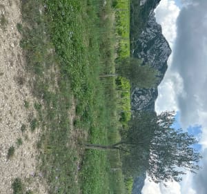 Petite balade dans les Alpilles proche d’Eygalieres - Saint-Rémy-de-Provence - 6