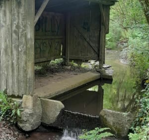 Tour de la suisse normande : aller-retour du Chesnay à Pont d'Ouilly - Le Vey - 4