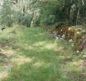 Chemin du prince à Esclauzels - Esclauzels - 3