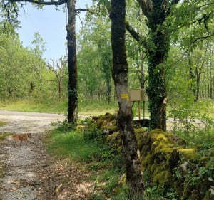 Chemin du prince à Esclauzels - Esclauzels - 4