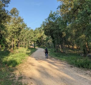 Routes et chemins entre Roquefort, Valbonne et Le Rouret - Roquefort-les-Pins - 3