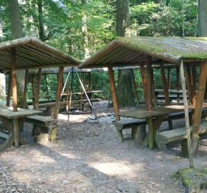 Aux 3 fontaines. Entre Lembach, Climbach Pfaffenbronn - Preuschdorf - 4