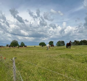 Petite balade entre La-Primaube et Combelles - Luc-la-Primaube - 3