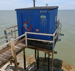Balade sur le port et la corniche de Meschers-sur-Gironde - Meschers-sur-Gironde - 3