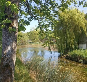 Sur les chemins de Jean Racine - Milon-la-Chapelle - 4