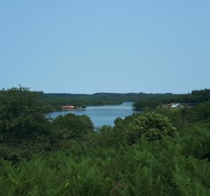 Lac de Saint-Pardoux - Razès - 3