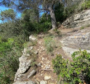 Petite boucle depuis l’église de Goult, moulin et terrasses - Goult - 3