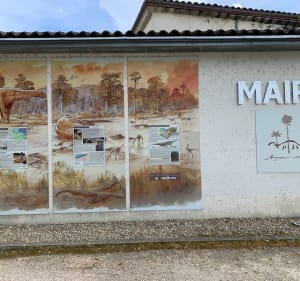 Balade sur les bords de Charente - Graves-Saint-Amant - 3