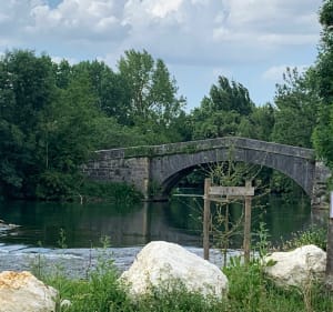 Balade sur les bords de Charente - Graves-Saint-Amant - 4