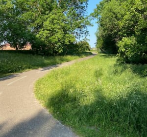 Balade dans les champs autour Ittenheim - Ittenheim - 3