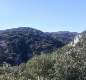 Randonnée autour de Saint-Montan en passant par Larnas - Saint-Montan - 3
