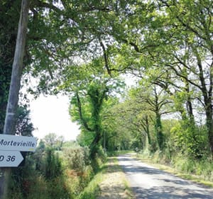 Boucle des trois communes - La Boissière-des-Landes - 4