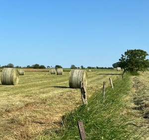 Méréville, Azelot, Frolois par les champs et la forêt - Méréville - 3