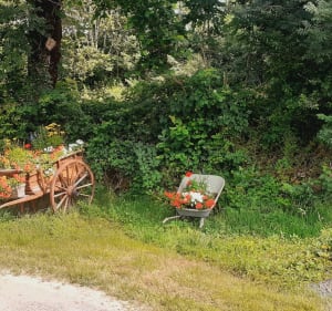 Le chemin de Billiegrols depuis Vitrac - Argences-en-Aubrac - 4