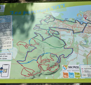 Mountainbiken in het bos van Soustons, rood gemarkeerd circuit - Soustons - 3