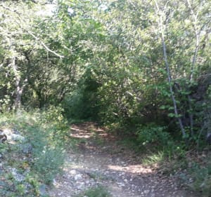 Grande boucle de Saint Montan - Larnas - Ellieux - Saint-Montan - 4