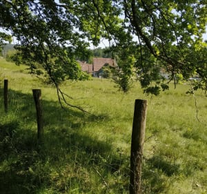 Soultzerkopf / Pfaffenschlick par Petit-Wingen - Preuschdorf - 4