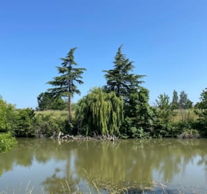Balade au bord de l'Authion - Les Ponts-de-Cé - 3
