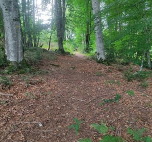 Les roches de Murat - Beissat - 2