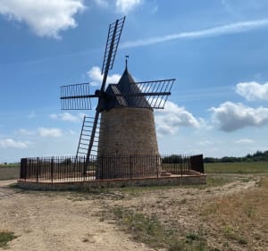 Promenade familiale entre vignes de Rivesaltes et monuments - Claira - 3