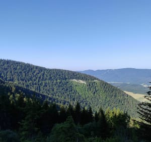 Crête de Charande - Autrans-Méaudre en Vercors - 5