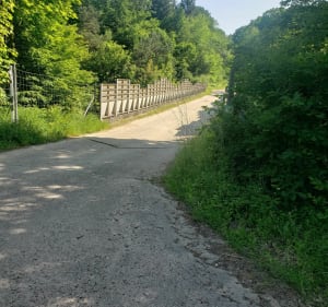 Sortie en Forêt de Vitrimont - Damelevières - 4