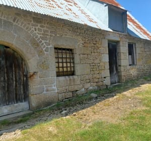 Dans le bocage et le Lac de la Dathée - Noues de Sienne - 3
