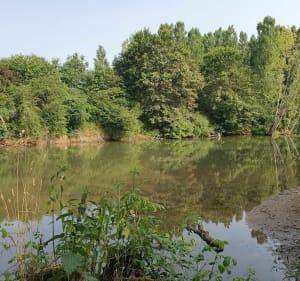 Balade entre le Jura et le Doubs pour retrouver l'Ognon - Jallerange - 3