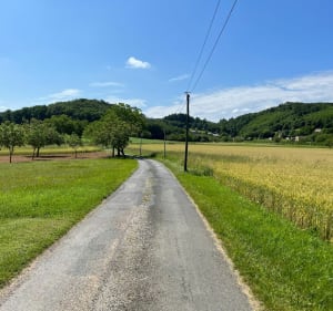 Rando autour du Domaine des Chênes Verts - Calviac-en-Périgord - 4