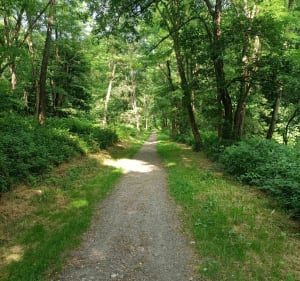 Belle balade autour de Roche la Molière - Roche-la-Molière - 3