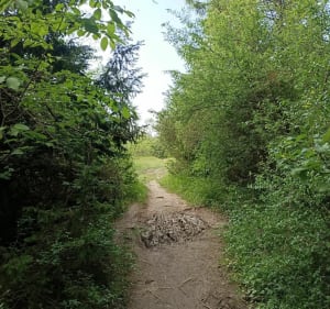 Tour langs het meer van Clairvaux - Clairvaux-les-Lacs - 4