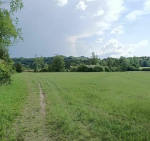 Tour langs het meer van Clairvaux - Clairvaux-les-Lacs - 5