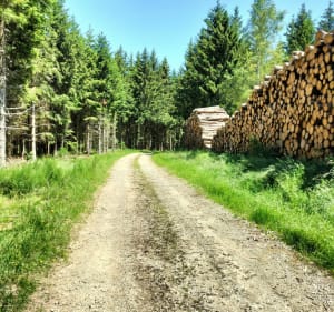 Tour des plateaux depuis Chambon-sur-Lignon - Le Chambon-sur-Lignon - 3